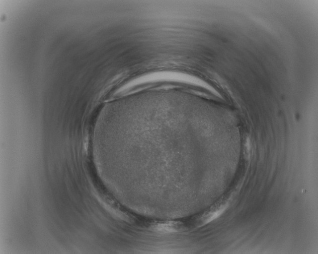 X0000080690072200612301500