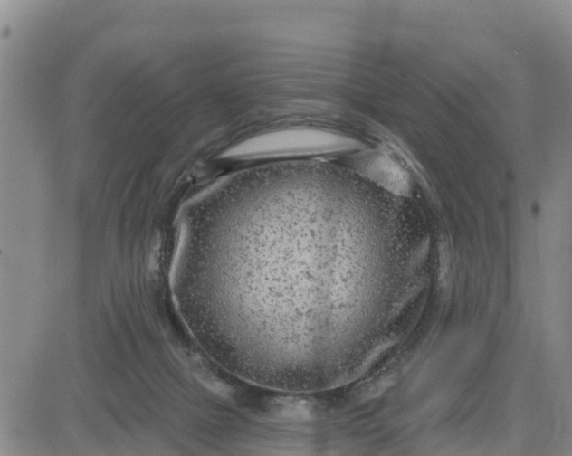 X0000080690073200612301500