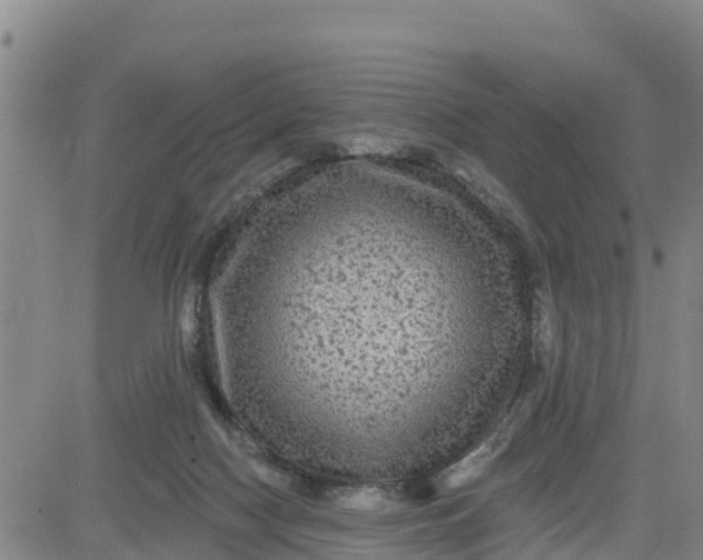 X0000080690074200612301500