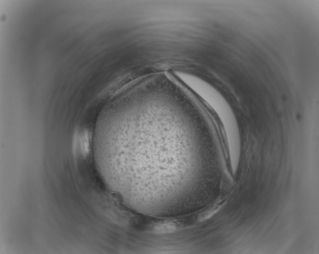 X0000080690075200612301500