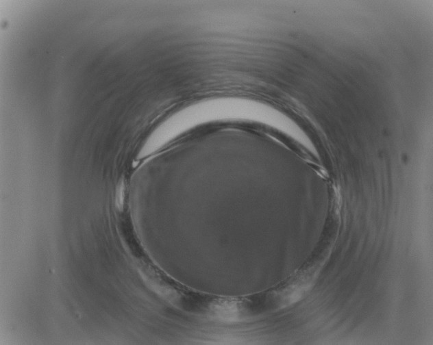 X0000080690076200612301500