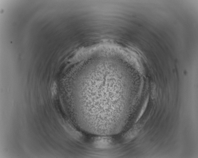 X0000080690077200612301500