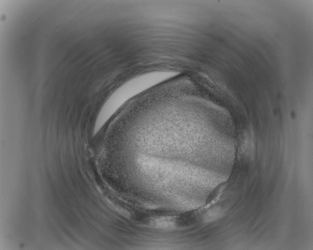 X0000080690078200612301500