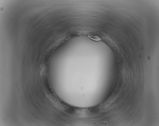 X0000080690079200612301500