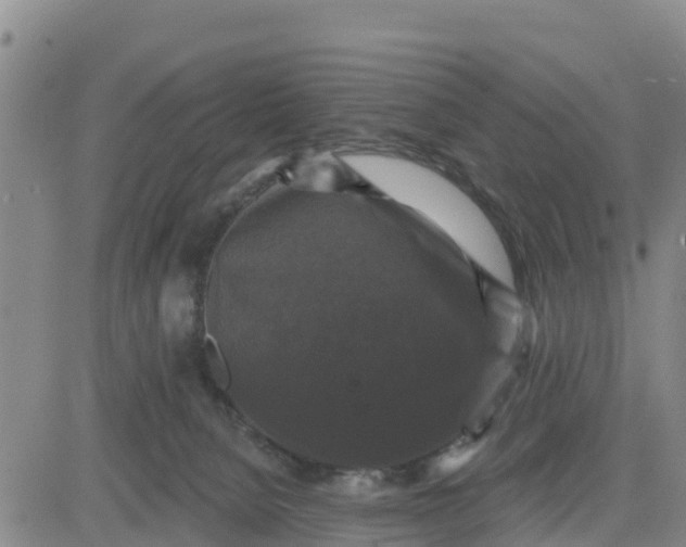 X0000080690080200612301500