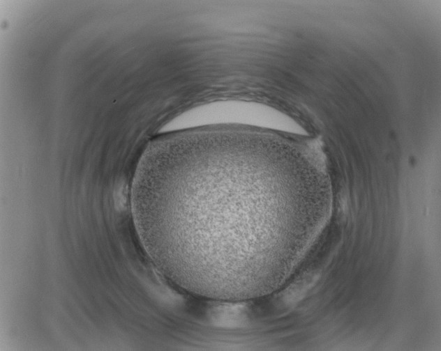 X0000080690081200612301500