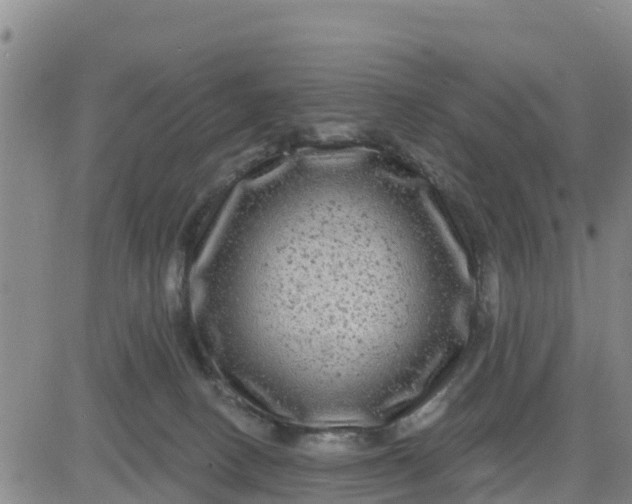 X0000080690082200612301500