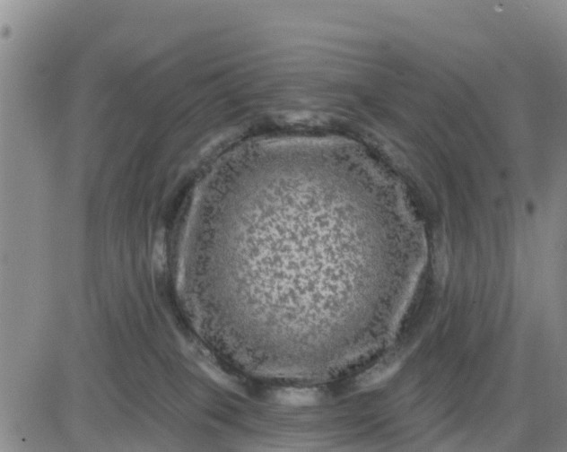 X0000080690085200612301500