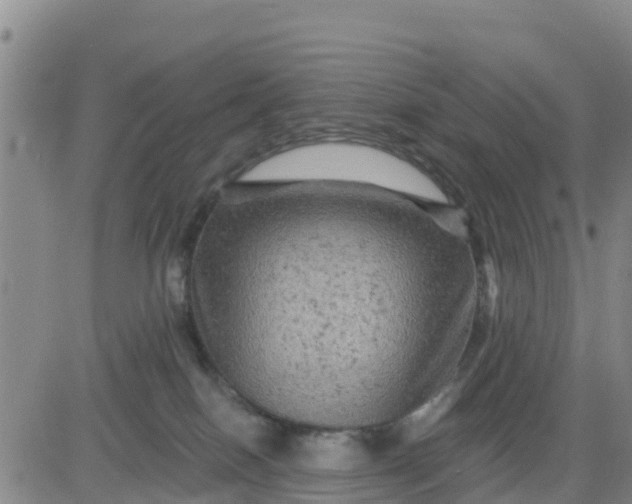 X0000080690086200612301500