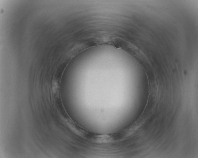 X0000080690087200612301500