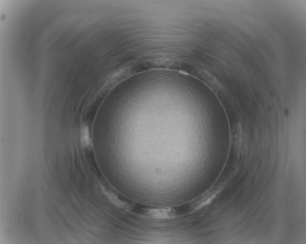 X0000080690089200612301500