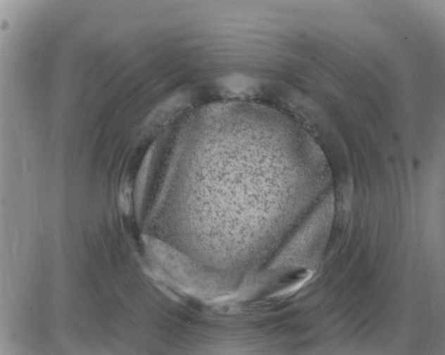 X0000080690090200612301500