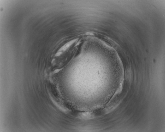 X0000080690092200612301500