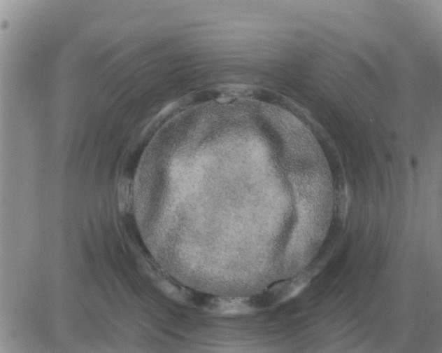 X0000080690093200612301500