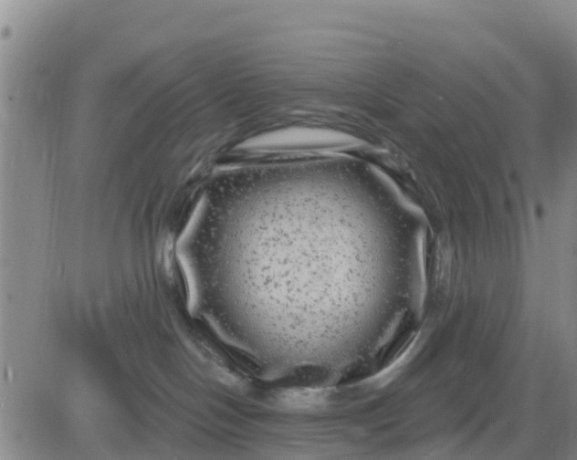 X0000080690094200612301500