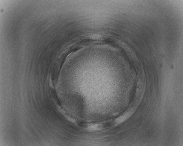 X0000080690096200612301500