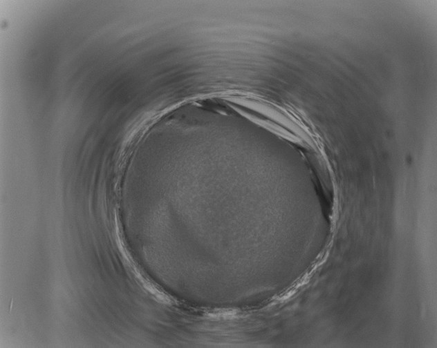 X0000080690097200612301459