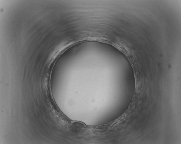 X0000080690098200612301459