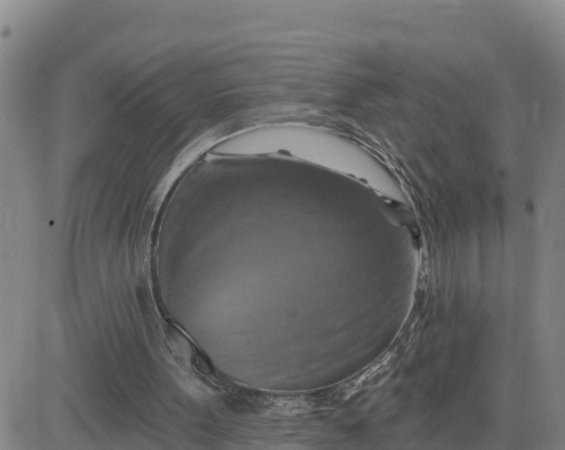 X0000080690099200612301459