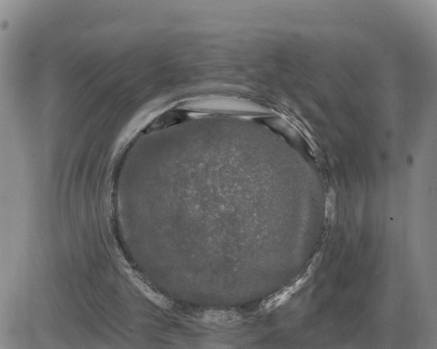 X0000080690101200612301459