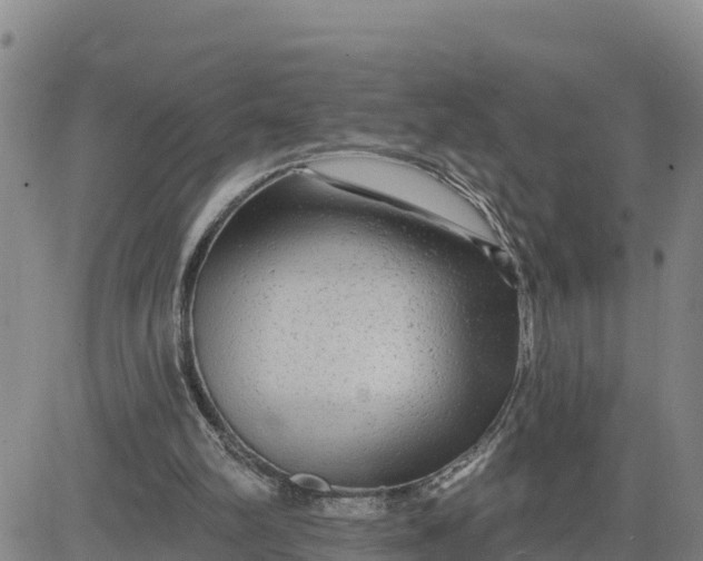 X0000080690102200612301459