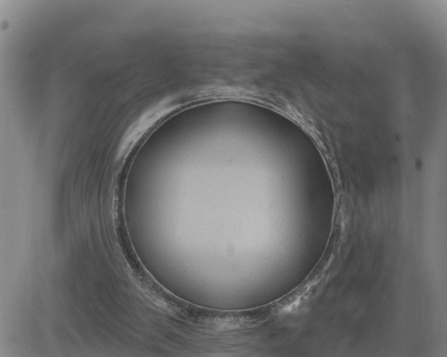 X0000080690103200612301459