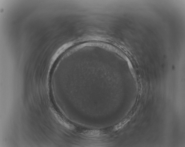 X0000080690104200612301459