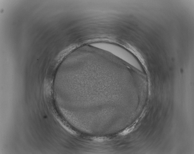 X0000080690105200612301459