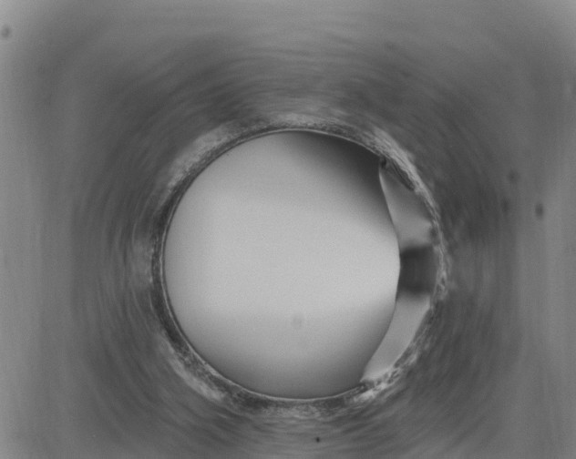 X0000080690106200612301459