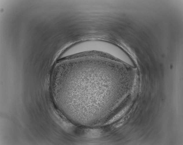 X0000080690107200612301459