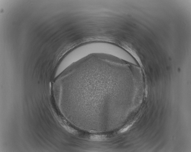 X0000080690109200612301459