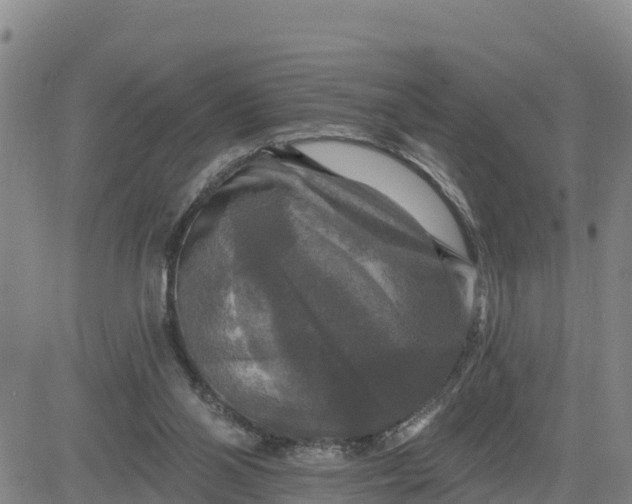 X0000080690110200612301459