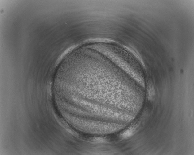 X0000080690111200612301459