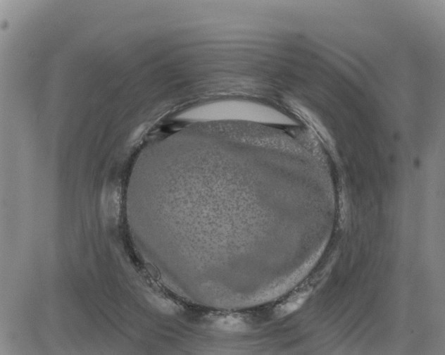 X0000080690113200612301459