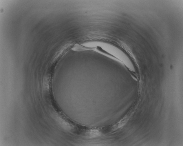 X0000080690114200612301459