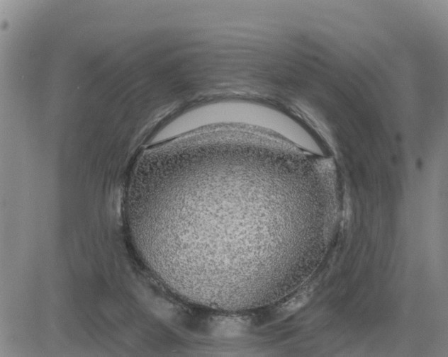 X0000080690115200612301459