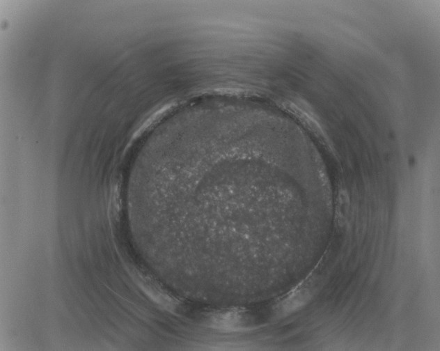 X0000080690116200612301459