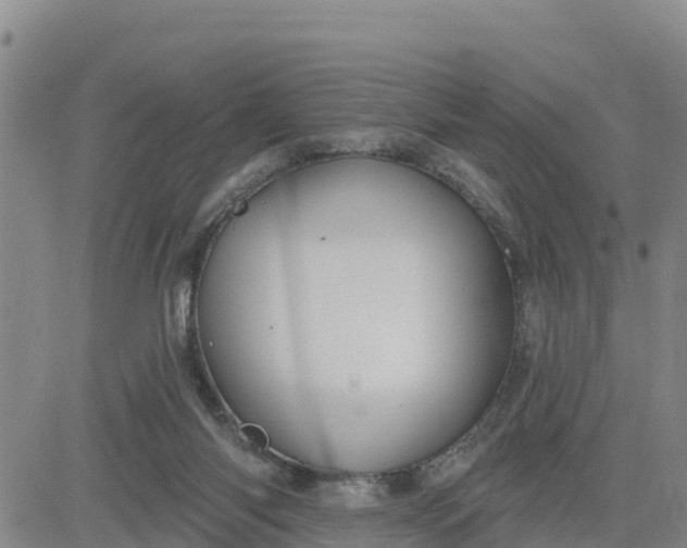 X0000080690118200612301459