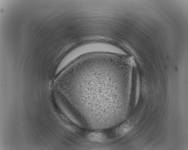 X0000080690119200612301459