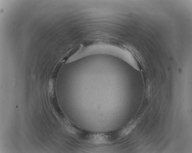 X0000080690121200612301459