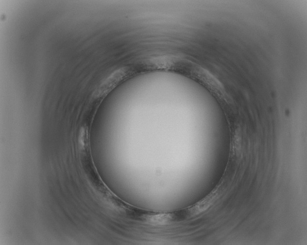 X0000080690122200612301459