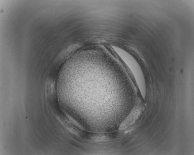 X0000080690123200612301459