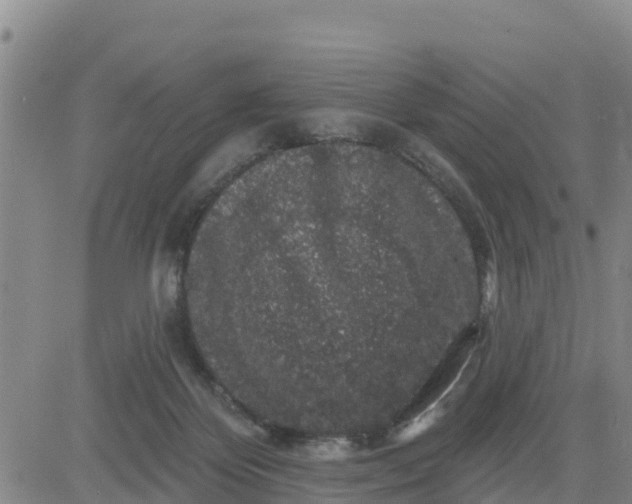 X0000080690124200612301459