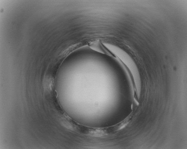 X0000080690125200612301459