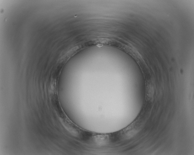 X0000080690126200612301459