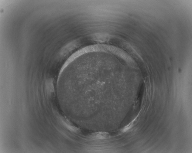 X0000080690128200612301459