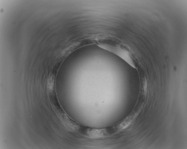 X0000080690129200612301459