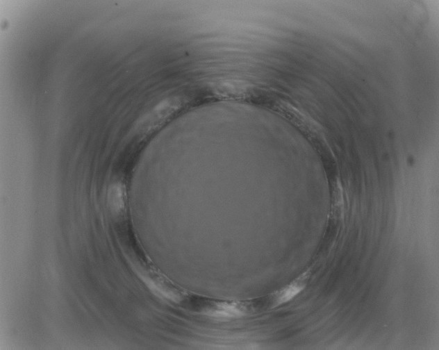 X0000080690130200612301459