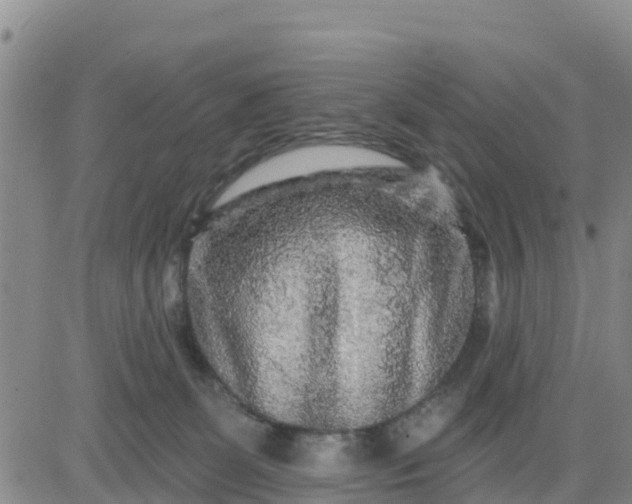 X0000080690131200612301459