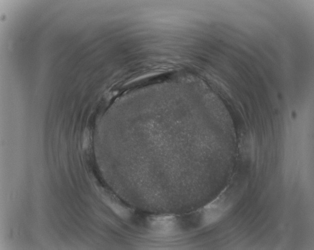 X0000080690132200612301459